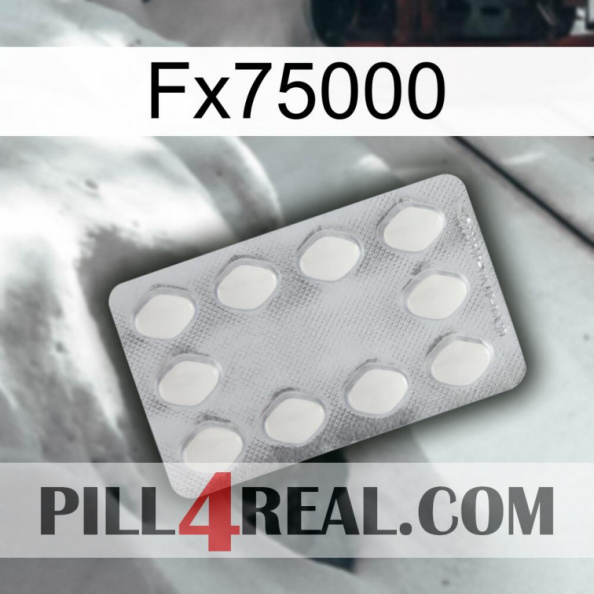 Fx75000 16.jpg